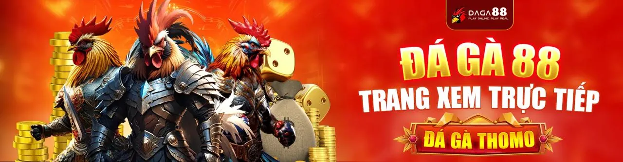 Đá gà trực tuyến sodo88 bet kịch tính