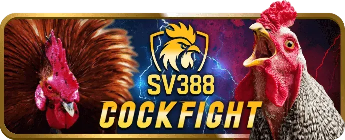 Chương trình đại lý sodo88 bet